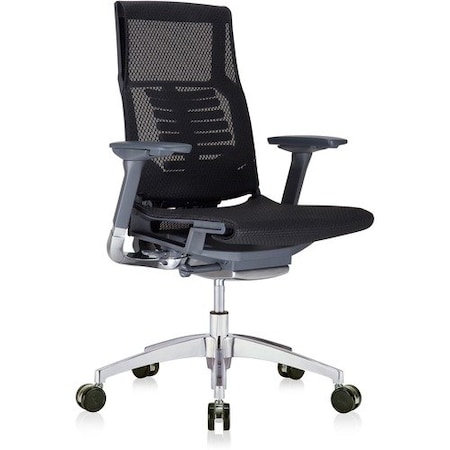 Eurotech - The Raynor Group POWERFIT CHAIR EUTPFT2BLKMBLK